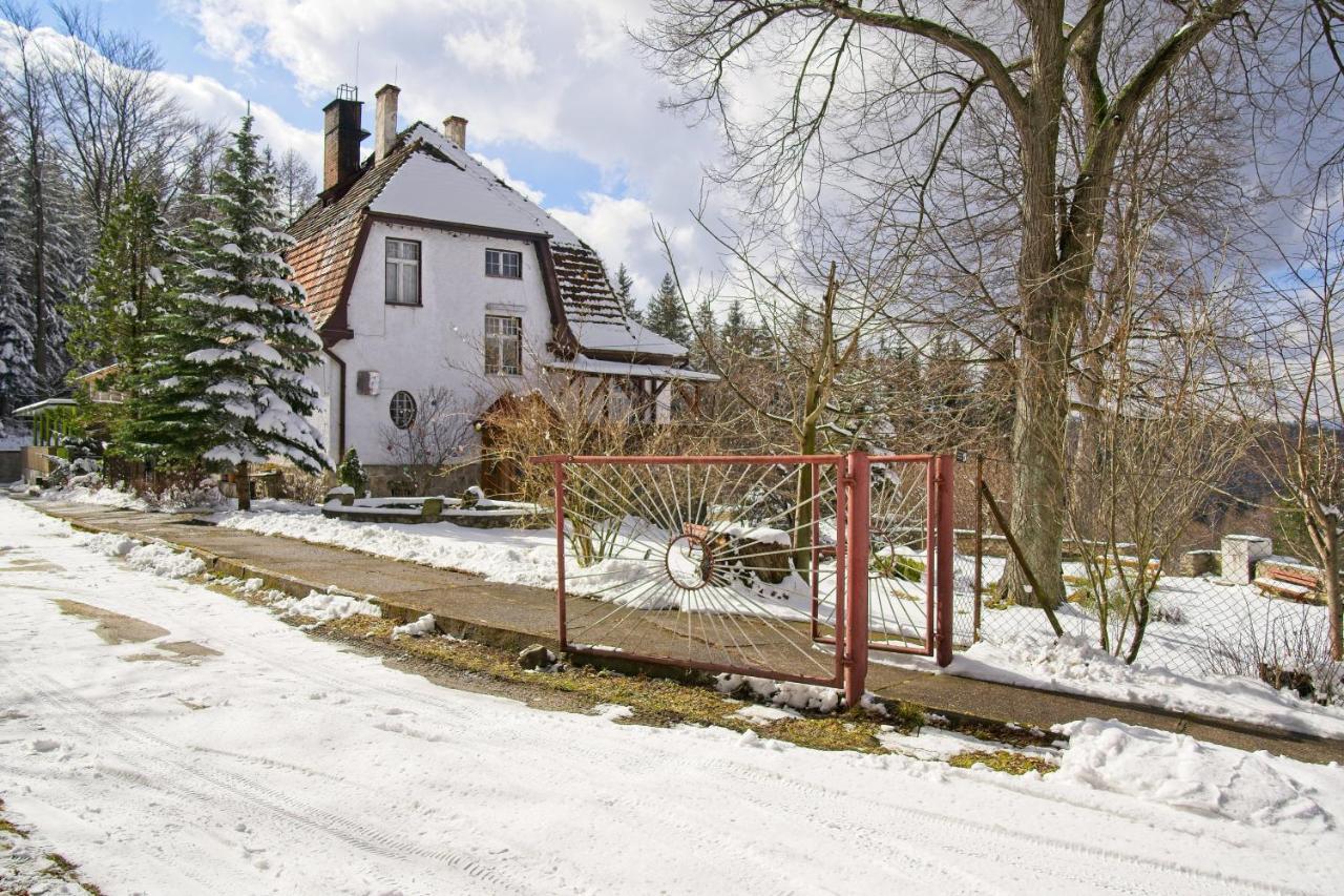 Вилла Willa "Sniezna Kopa"-Agroturystyka Pro Zdrowotna Соснувка Экстерьер фото